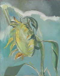 Tournesol et Soleil, c. 1945