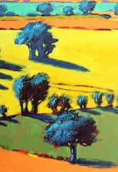 Gros plan du chemin des Cotswolds 5