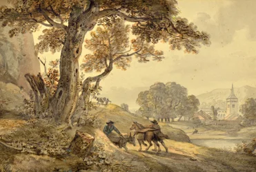 Paysage