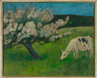 Vache blanche