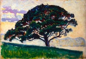 Grand pin, Saint-Tropez, 1892-1893