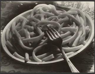 Assiette de nouilles avec fourchette