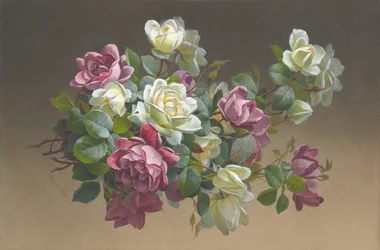 Fleurs : Roses, fin 19ème-début 20ème siècle