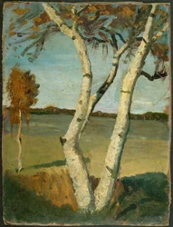 Bouleau à deux troncs devant un paysage