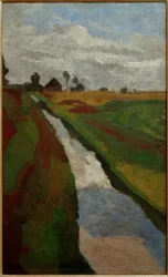 Canal dans la lande marécageuse