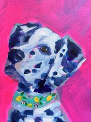 Un chiot dalmatien plein d