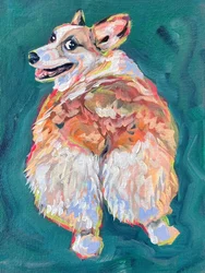 Un corgi plein de vie