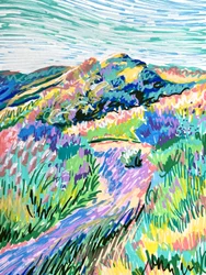 Une prairie colorée à flanc de colline