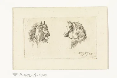 Deux têtes de chevaux
