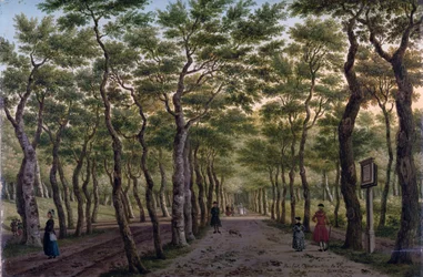 Le Herepad dans le Haagse Bos