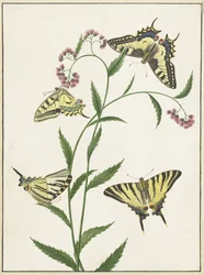 Quatre papillons sur des fleurs