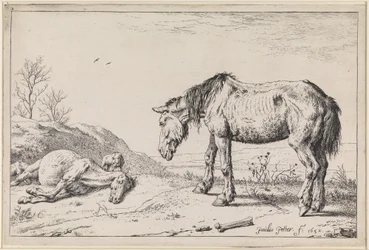 Chevaux épuisés