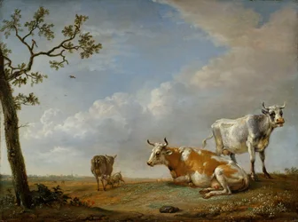 Animaux se reposant dans le pâturage