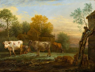 Bétail dans un pré
