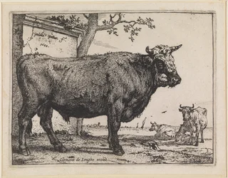 Le Taureau