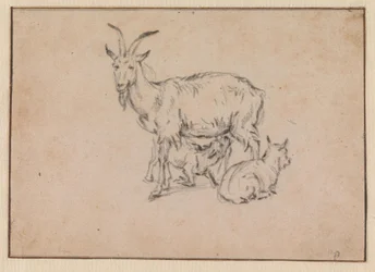 Une chèvre avec deux chevreaux