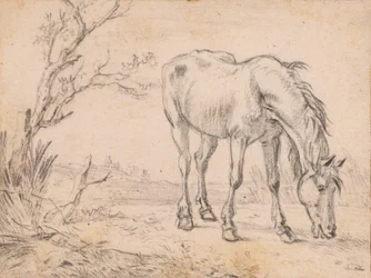 Un cheval au pâturage