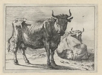 Une vache debout et une vache couchée