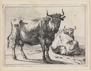 Une vache debout et une vache couchée