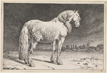 Le cheval frison