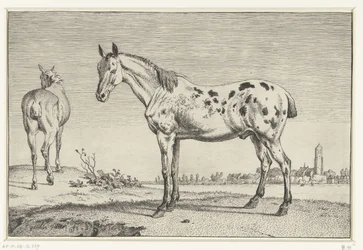 Le cheval coupé
Chevaux (série)
