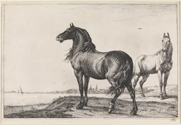 Cheval hennissant