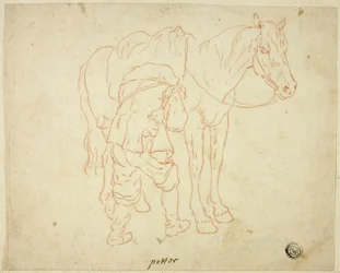Homme ajustant la selle sur un cheval