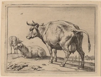 Vache qui pisse