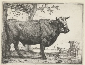 Taureau