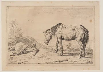 Le cheval usé (La Mazette), extrait de la série des chevaux