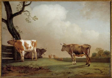 Le pré Un troupeau de vaches dans un pré