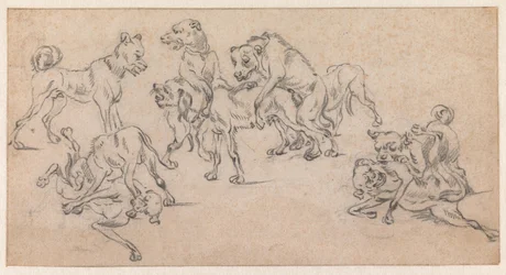 Chiens se battant et s