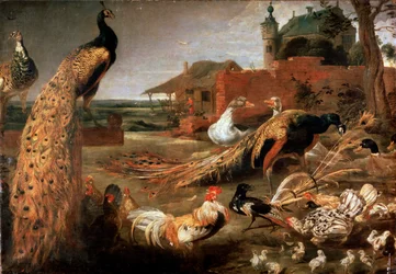 « Corbeau dans les plumes du paon », vers 1615-1690