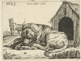 Chien couché enchaîné