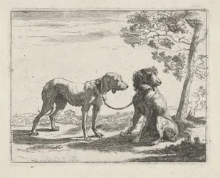 Deux chiens