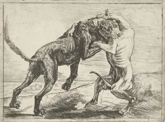 Deux chiens se battant