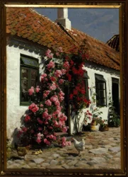 Roses grimpantes à la ferme