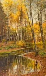 P.Mønsted, Forêt de bouleaux en lumière d