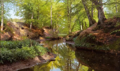 Jour ensoleillé au ruisseau forestier