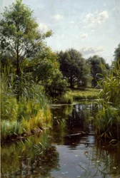 Roseaux au bord du lac