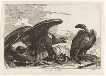 Vautour et aigle avec serpent