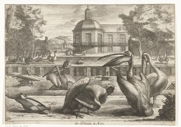 Pélicans (Vogels uit de menagerie van Versailles)