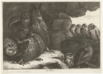 Chouettes dans une grotte