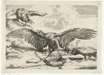 Trois aigles se battent pour un cerf mort Diversi uccelli (titre de la série)