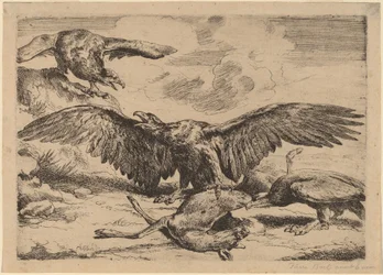 Aigles