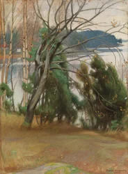 Saule marsault en automne