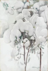 Jeunes pins couverts de neige