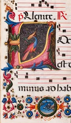 Bibliothèque Piccolomini : livre de chœur, cod. 5.E, ff. 63r avec « Initiale feuillagée » (détail)