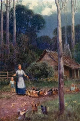 Une cabane dans la brousse