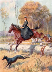 Chasse au kangourou